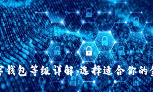 银行数字钱包等级详解：选择适合你的金融工具
